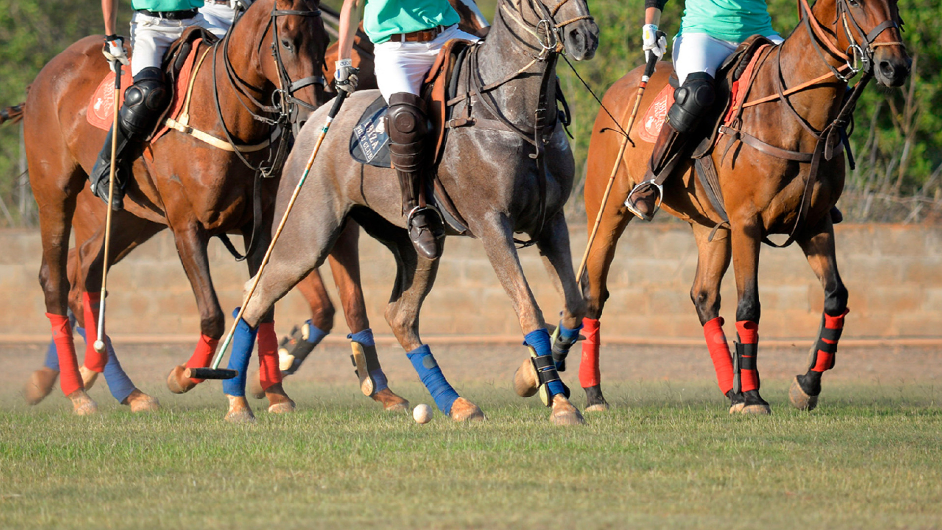 Poster de Polo Rider Cup Highlights: Episodio 1