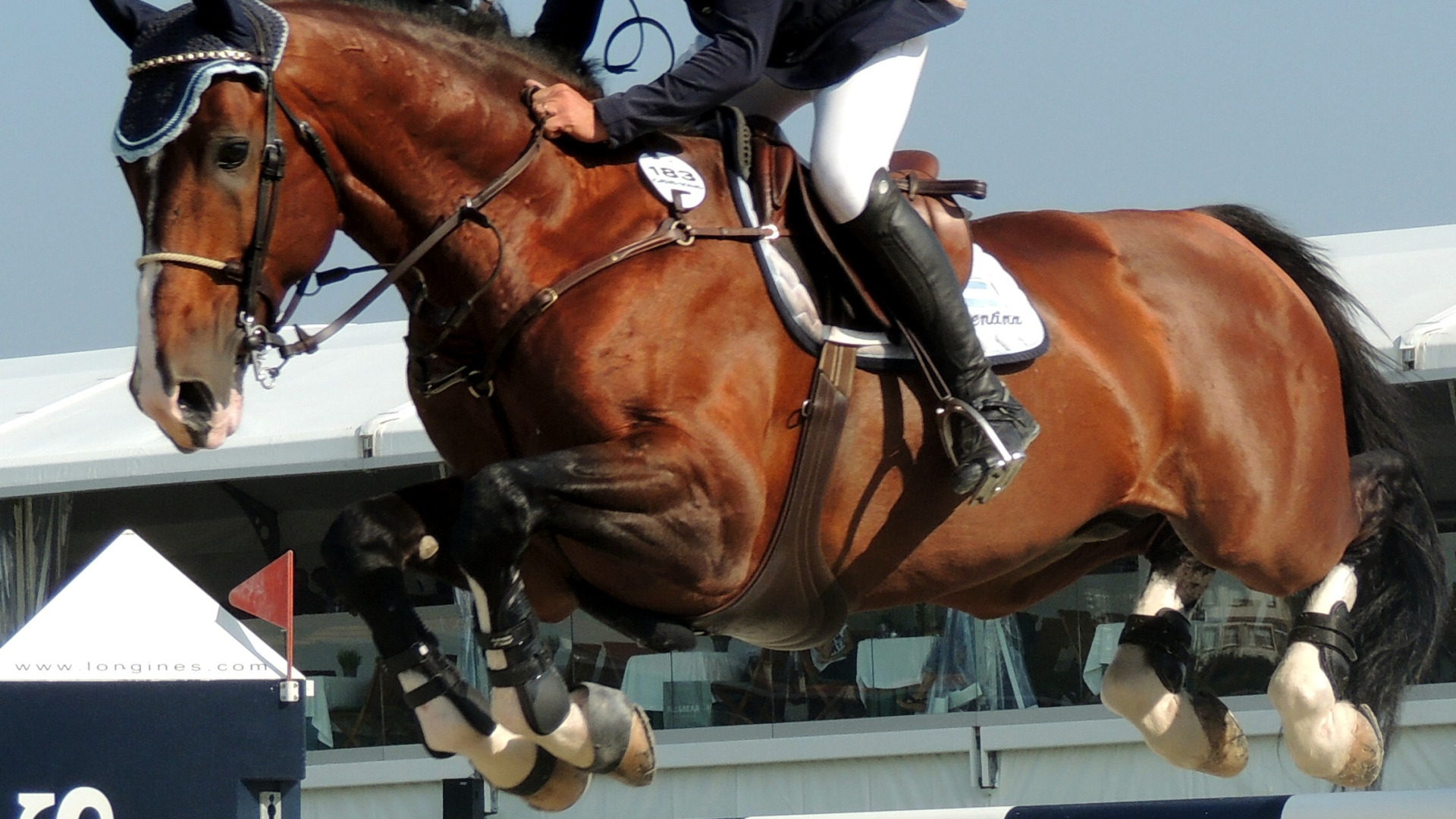 Carátula de Campeonato de España Concurso Completo: Finca Los Navazuelos, Majadahonda