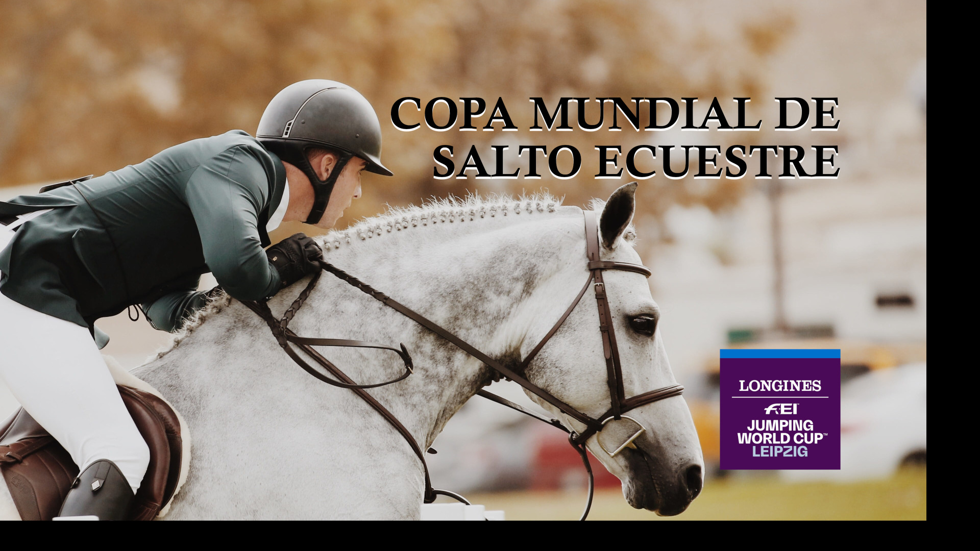 Poster de Copa del Mundo de Salto Ecuestre: FEI Jumping World Cup